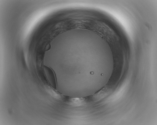 X0000115380239200911171442