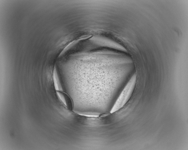 X0000115380240200911171442