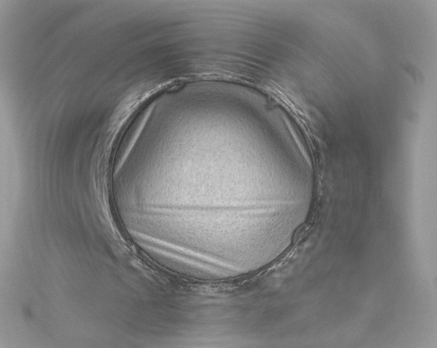 X0000115380241200911171441