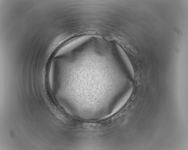 X0000115380242200911171441