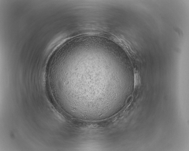 X0000115380243200911171441