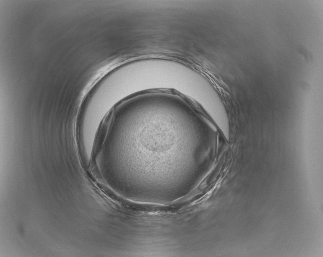 X0000115380244200911171441