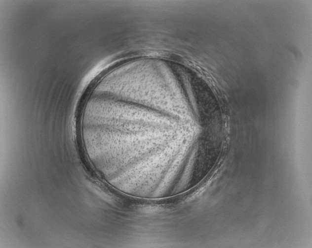 X0000115380246200911171441