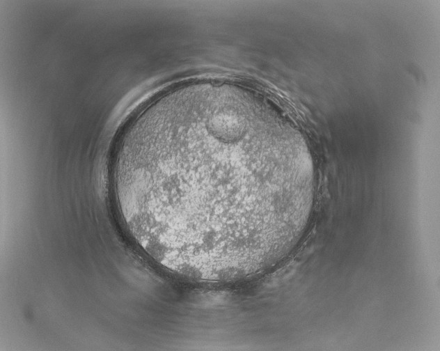 X0000115380247200911171441