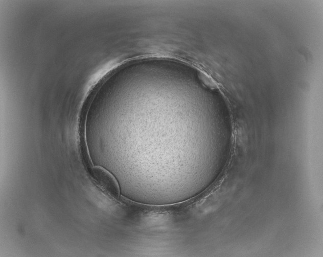 X0000115380248200911171441