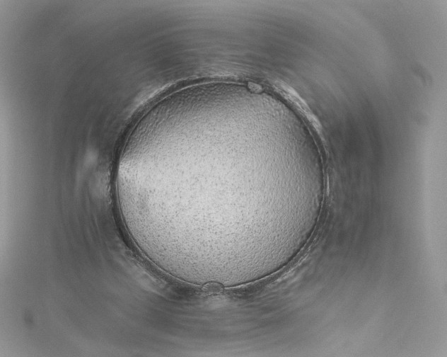 X0000115380249200911171441