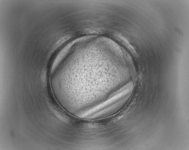 X0000115380250200911171441