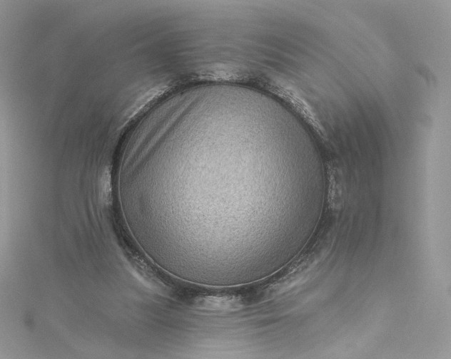 X0000115380251200911171441