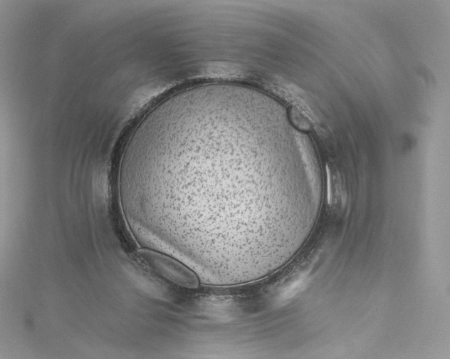 X0000115380252200911171441