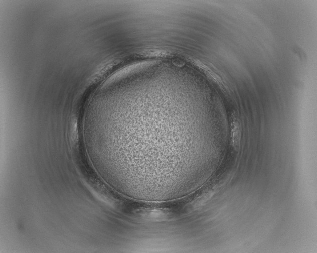 X0000115380254200911171441