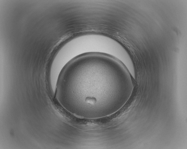 X0000115380256200911171441