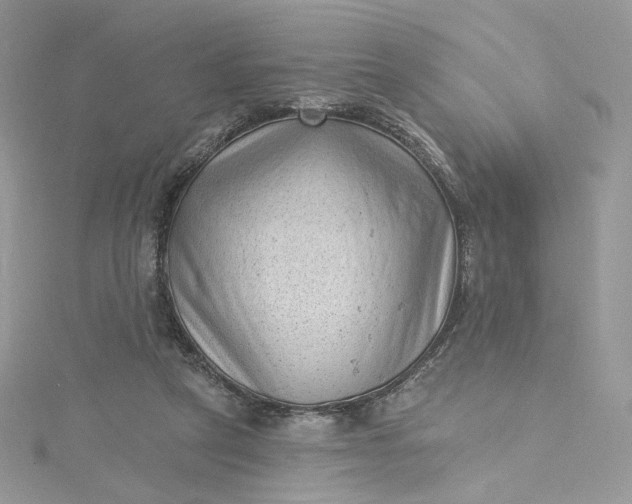 X0000115380257200911171441