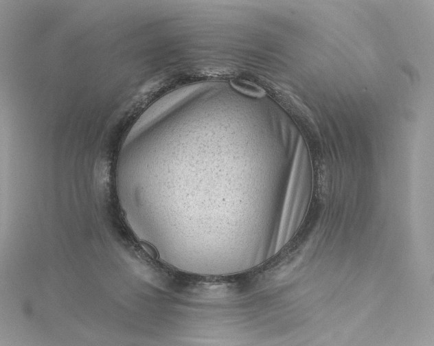 X0000115380260200911171441