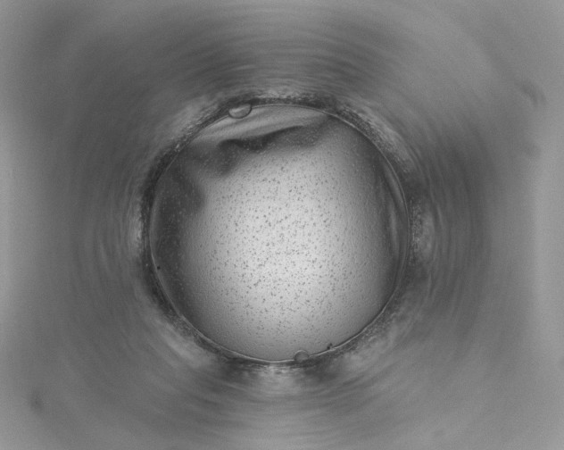 X0000115380261200911171441