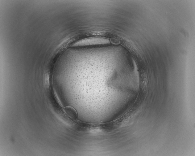 X0000115380262200911171441