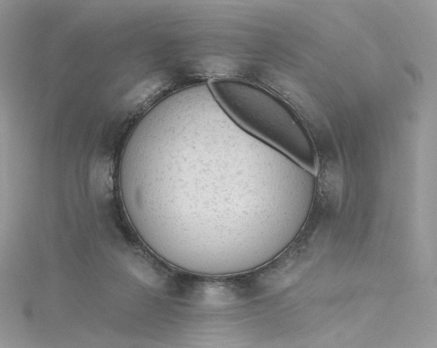 X0000115380264200911171441