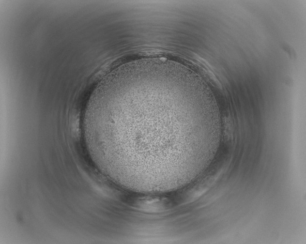 X0000115380267200911171441