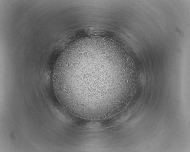 X0000115380271200911171441