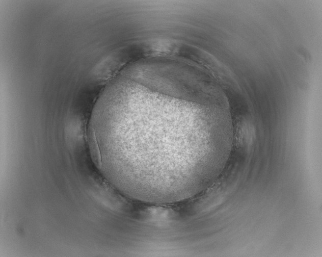 X0000115380272200911171441