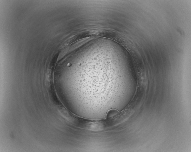 X0000115380275200911171441