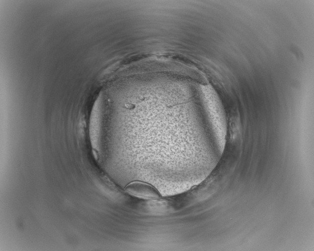 X0000115380279200911171441