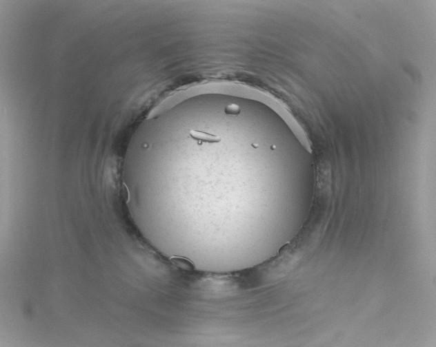 X0000115380280200911171442