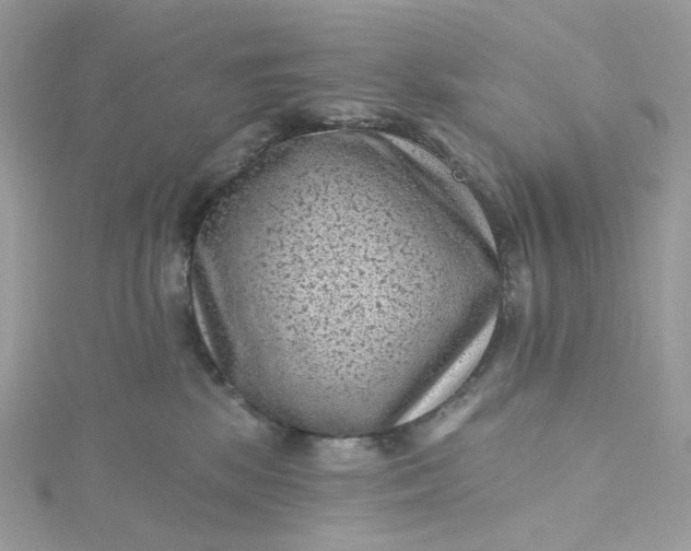 X0000115380281200911171442