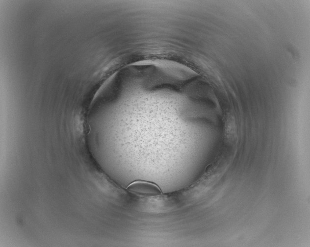 X0000115380282200911171442