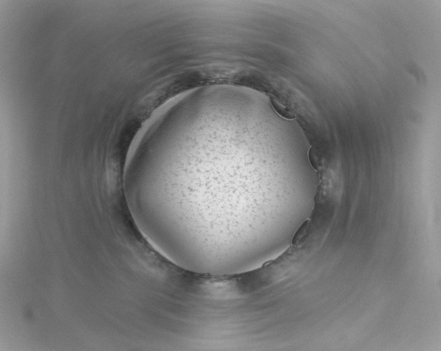 X0000115380283200911171442