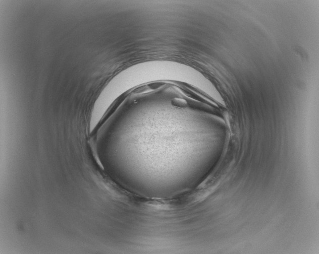 X0000115380284200911171442