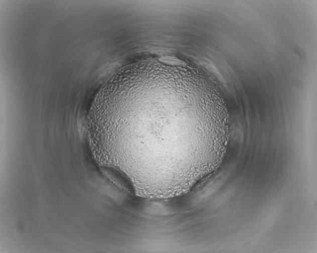 X0000115380285200911171442