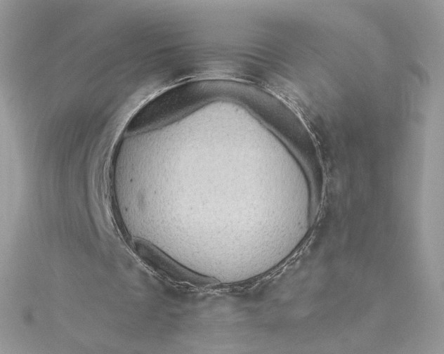 X0000115380289200911171441