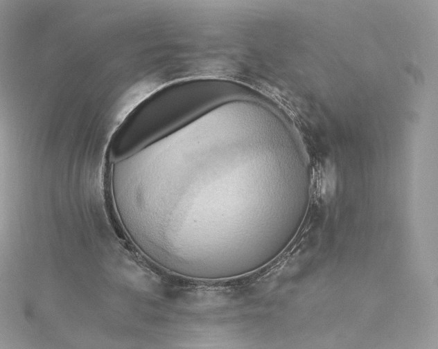 X0000115380292200911171441