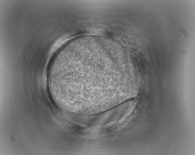 X0000115380294200911171441