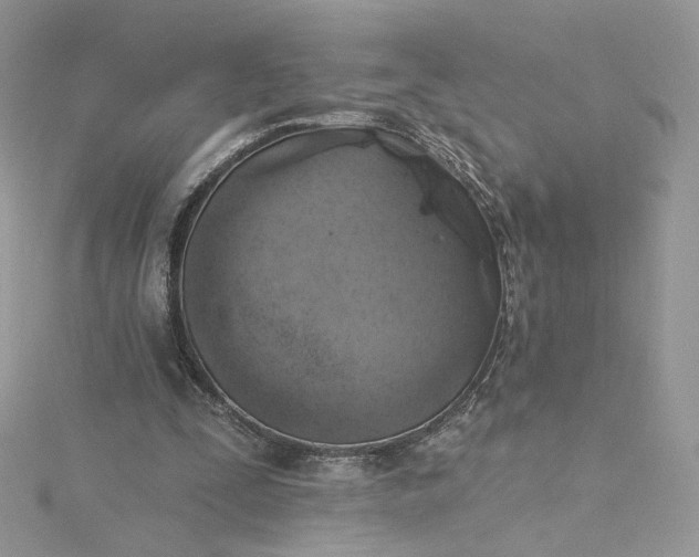 X0000115380295200911171441