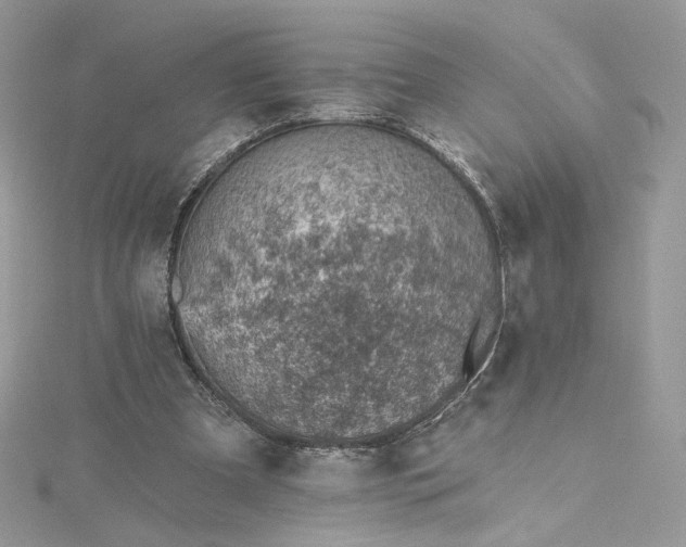 X0000115380297200911171441