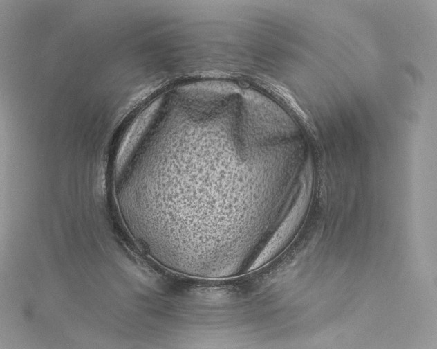 X0000115380299200911171441