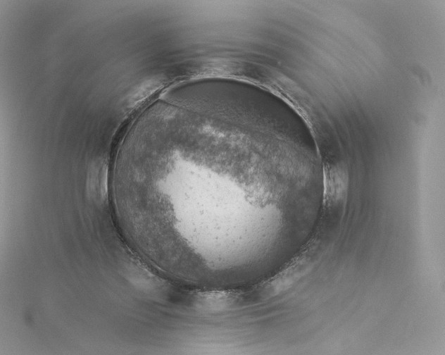 X0000115380301200911171441