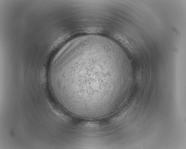 X0000115380303200911171441