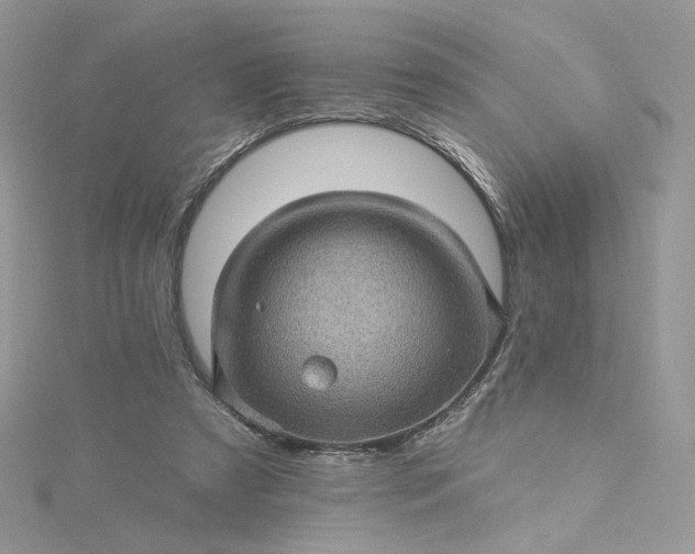 X0000115380305200911171441