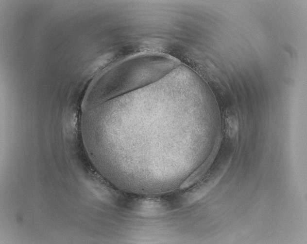 X0000115380308200911171441