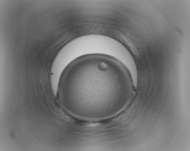 X0000115380313200911171441