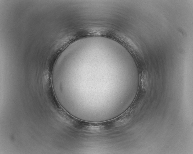 X0000115380314200911171441