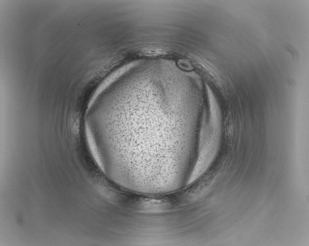 X0000115380315200911171441