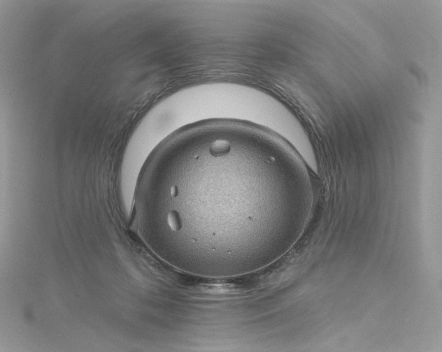 X0000115380316200911171441