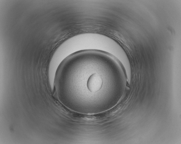 X0000115380317200911171441