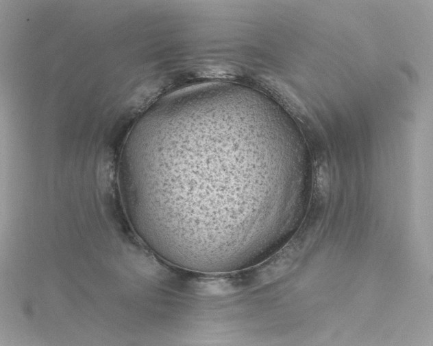 X0000115380322200911171441