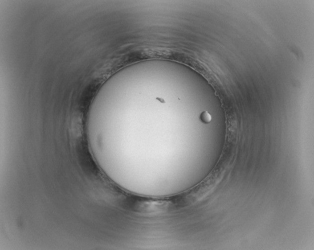 X0000115380323200911171441