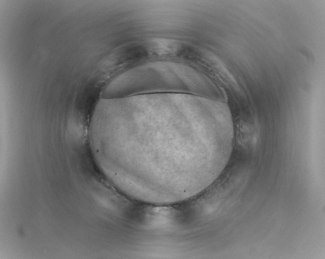 X0000115380324200911171441