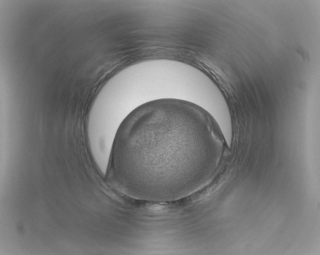 X0000115380325200911171441